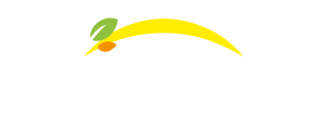 Bonduelle - Voltar ao Início