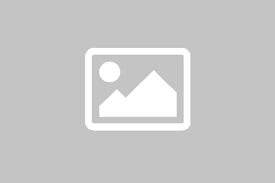 Grão-de-bico, cenoura e frango no forno